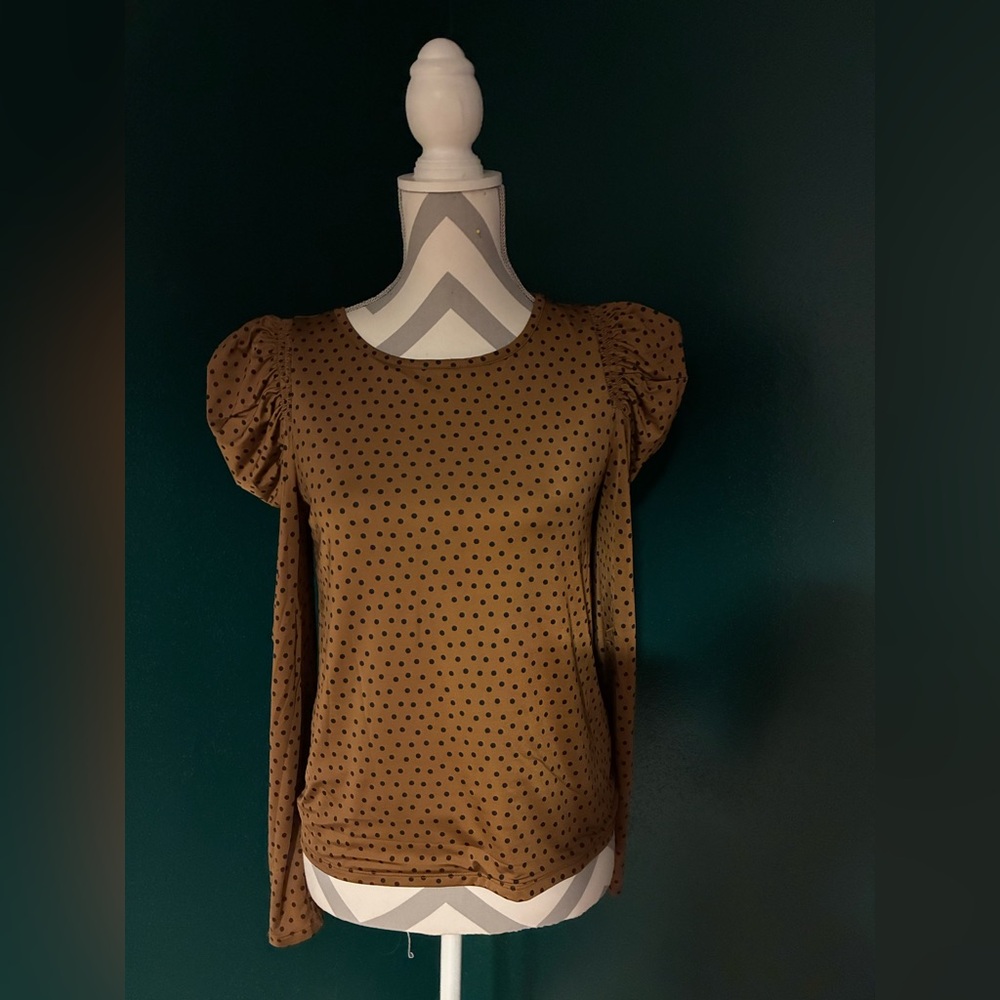 Express Brown Polka Dot Women's Top